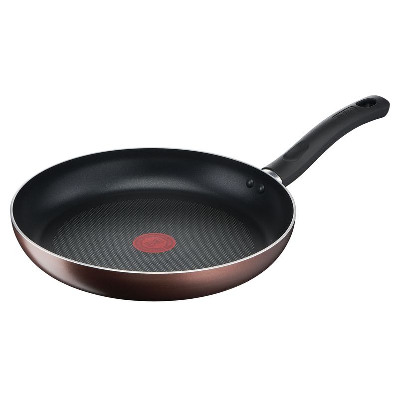 Sarten-TEFAL-Day-by-Day-24cm